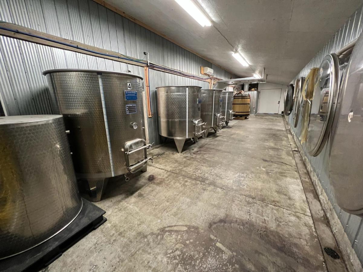 Similkameen Wild Resort & Winery Retreat オソヨース エクステリア 写真