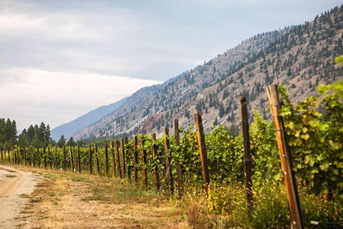 Similkameen Wild Resort & Winery Retreat オソヨース エクステリア 写真
