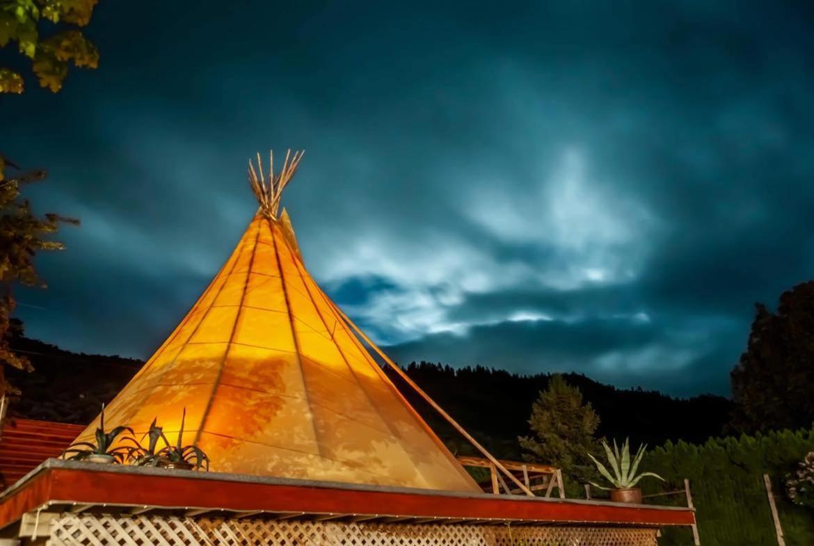 Similkameen Wild Resort & Winery Retreat オソヨース エクステリア 写真