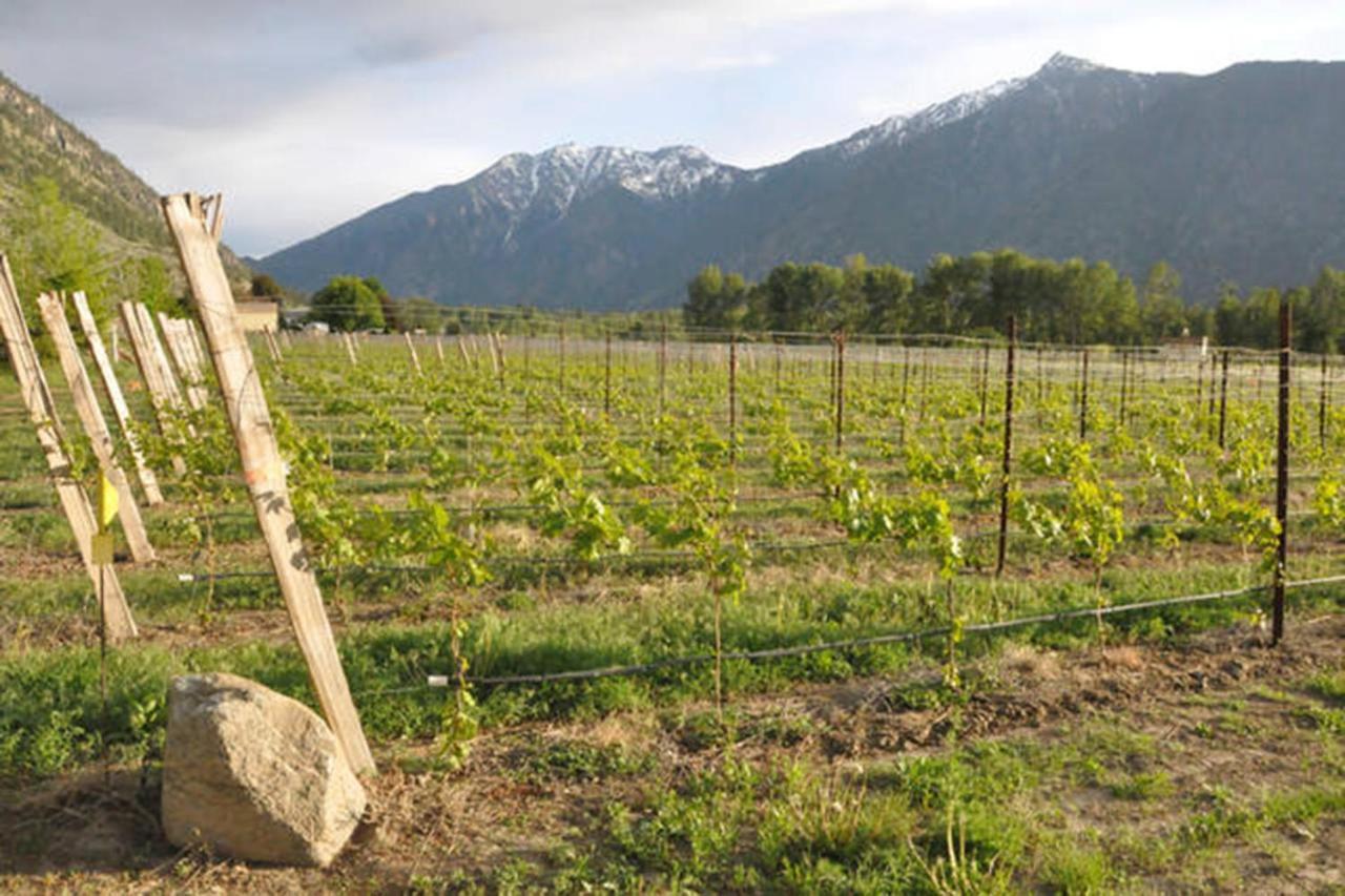 Similkameen Wild Resort & Winery Retreat オソヨース エクステリア 写真